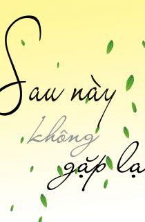 SAU NÀY KHÔNG GẶP LẠI