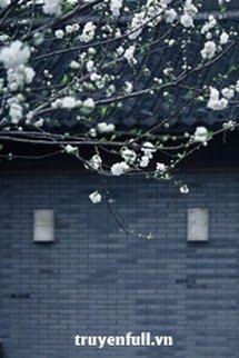 Lê Hoa Hựu Khai Phóng (Hoa Lê Lại Nở)